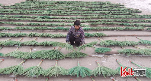 傳統(tǒng)藝術與現代美顏 樂亭毛莊鎮(zhèn)笤帚與麥秸畫如何賺取外匯