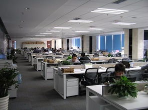 天職國際會計(jì)師事務(wù)所（特殊普通合伙） 北京信息技術(shù)咨詢服務(wù)解析